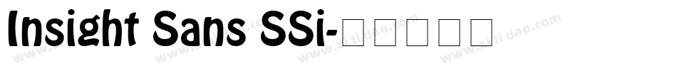 Insight Sans SSi字体转换
